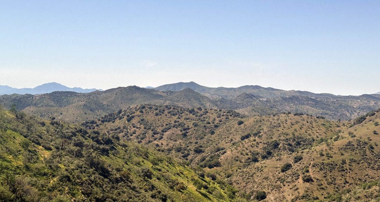 Hill Country